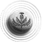 Patricia Florence logo